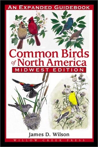 Book cover for Common Birds of America