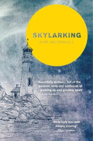 Cover of Skylarking