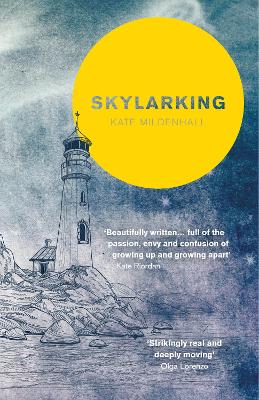 Book cover for Skylarking