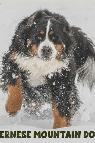 Cover of Bernese Mountain Dog 2022 Calendar