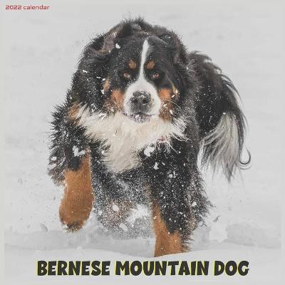 Book cover for Bernese Mountain Dog 2022 Calendar