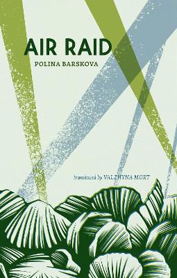 Book cover for Air Raid