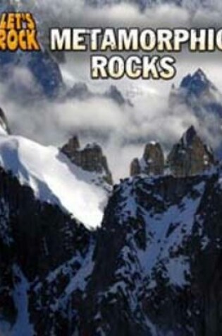 Cover of Metamorphic Rocks