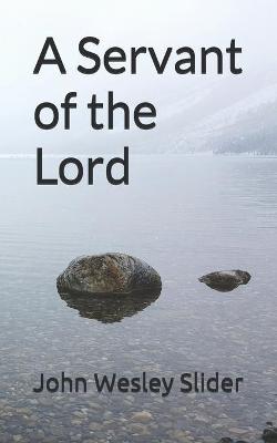 Book cover for A Servant of the Lord