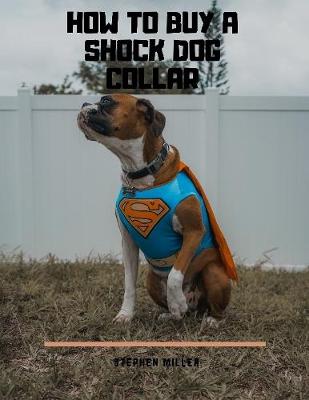 Book cover for How to Buy a Shock Dog Collar