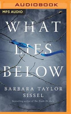 Book cover for What Lies Below