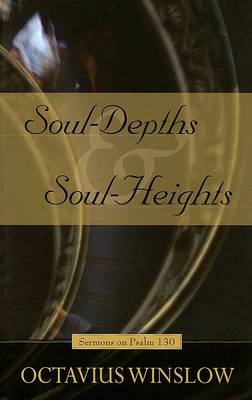Book cover for Soul Depths and Soul Heights