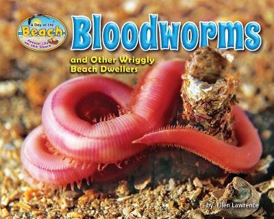 Cover of Bloodworms and Other Wriggly Beach Dwellers