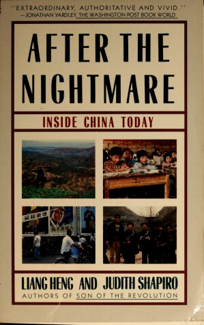 Book cover for After the Nightmare