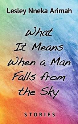 Book cover for What It Means When a Man Fallsfrom the Sky