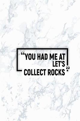 Book cover for You Had Me at Let's Collect Rocks