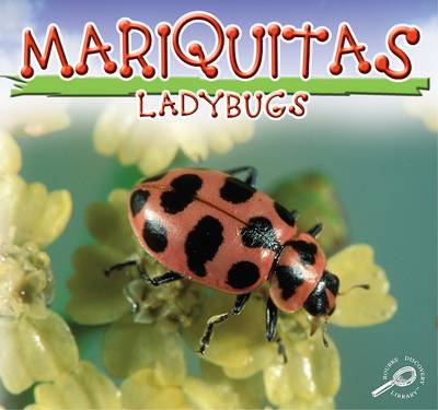 Book cover for Mariquitas/Ladybugs
