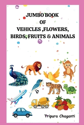 Book cover for Jumbo Book of Vehicles, Flowers, Birds, Fruits & Animals