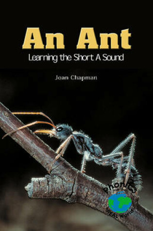 Cover of An Ant