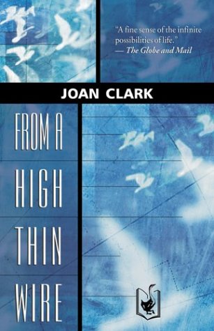 Book cover for From a High Thin Wire