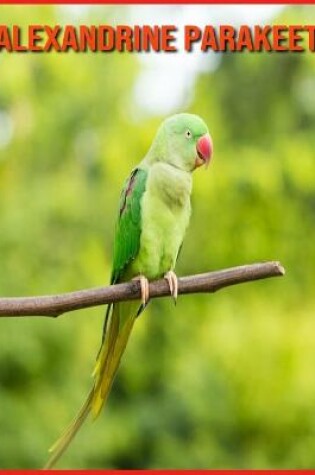 Cover of Alexandrine Parakeet