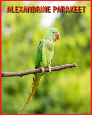 Book cover for Alexandrine Parakeet