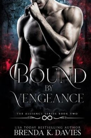 Cover of Bound by Vengeance