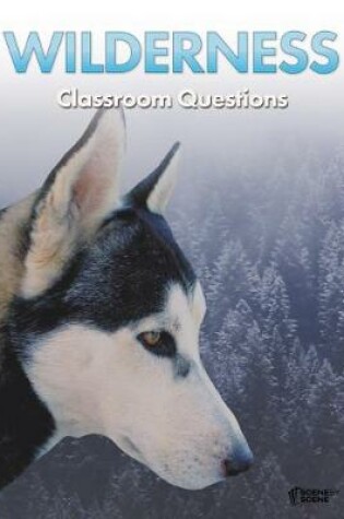 Cover of Wilderness Classroom Questions
