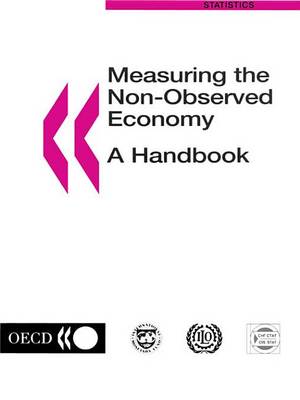 Cover of Measuring the Non Observed Economy