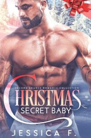 Cover of Christmas Secret Baby