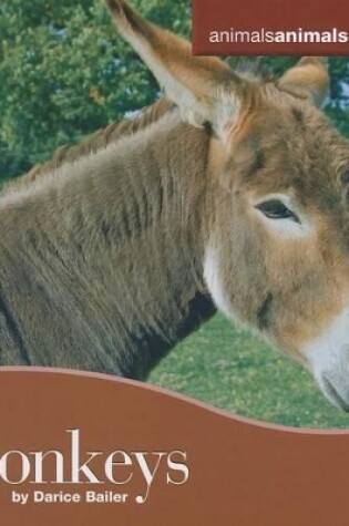 Cover of Donkeys