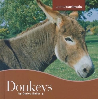 Book cover for Donkeys