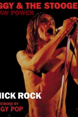 Cover of Iggy & The Stooges: Raw Power