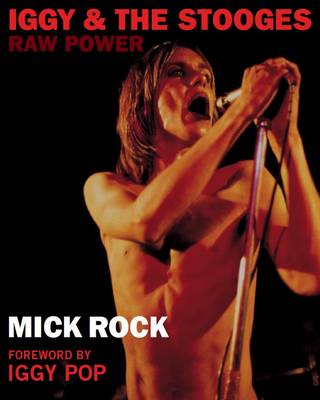 Book cover for Iggy & The Stooges: Raw Power