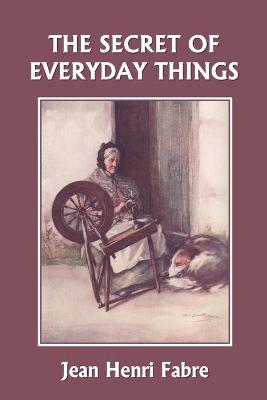 Book cover for The Secret of Everyday Things (Yesterday's Classics)