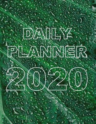 Book cover for Daily Planner 2020