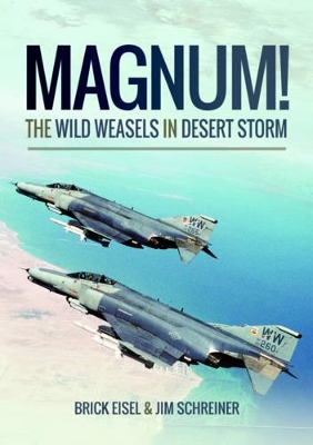 Book cover for Magnum! The Wild Weasels in Desert Storm