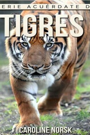 Cover of Tigres