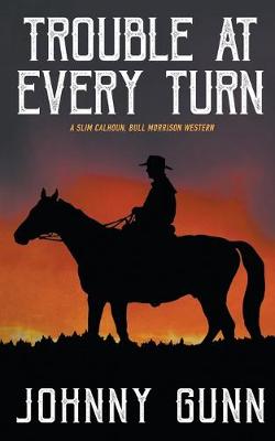 Book cover for Trouble at Every Turn