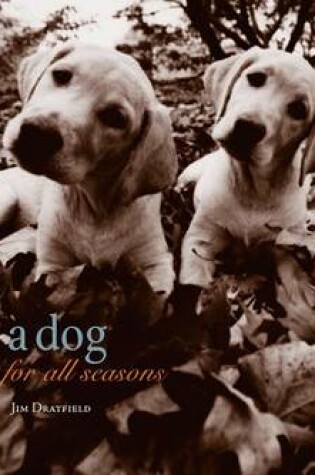 Cover of A Dog for All Seasons