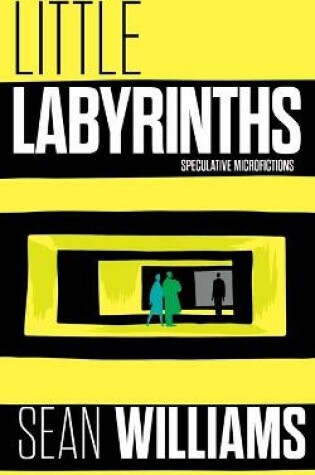 Cover of Little Labyrinths