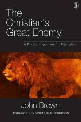 Book cover for The Christian's Great Enemy