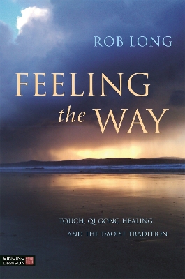Book cover for Feeling the Way
