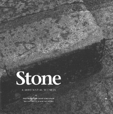 Book cover for Stone