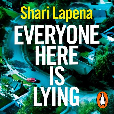 Book cover for Everyone Here is Lying