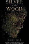 Book cover for Silver in the Wood