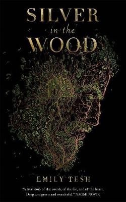 Book cover for Silver in the Wood