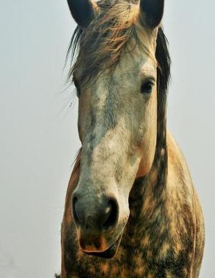 Book cover for Dappled Horse Notebook