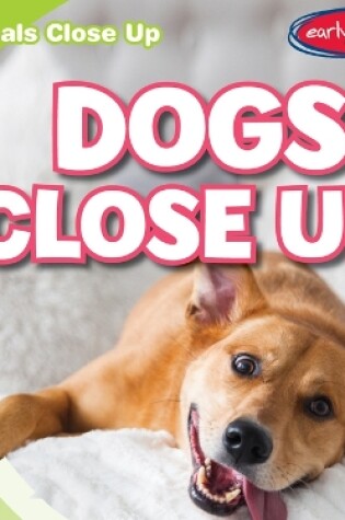 Cover of Dogs Close Up