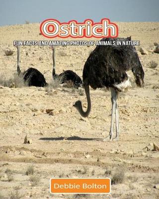 Book cover for Ostrich