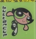 Book cover for Ppg Buttercup Key Chain Book
