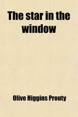 Book cover for The Star in the Window; A Novel