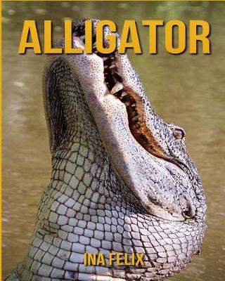 Book cover for Alligator