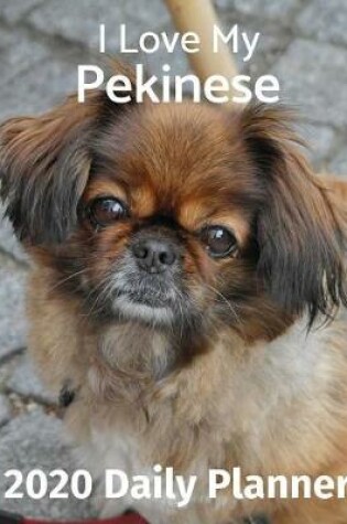 Cover of I Love My Pekinese