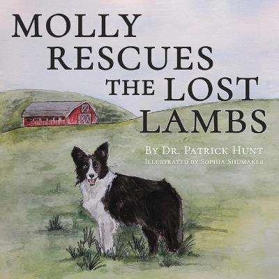 Book cover for Molly Rescues the Lost Lambs